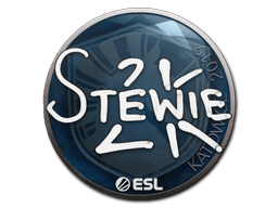 Stewie2K | Катовице 2019