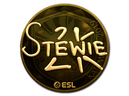 Stewie2K (Gold) | Katowice 2019