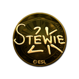 Stewie2K (Gold) | Katowice 2019
