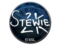 Stewie2K (Foil) | Katowice 2019