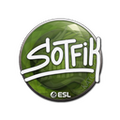 Sticker | S0tF1k | Katowice 2019