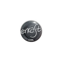 free cs2 skins Sticker | erkaSt | Katowice 2019