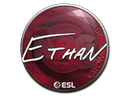 Sticker | Ethan | Katowice 2019