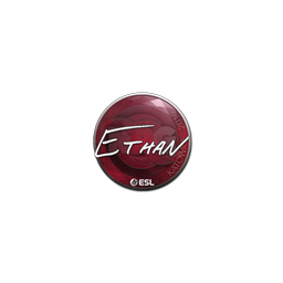 Sticker | Ethan | Katowice 2019