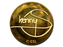kennyS (Gold) | Katowice 2019