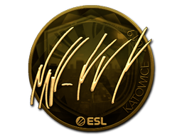 NAF (Gold) | Katowice 2019