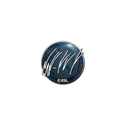 free cs2 skins Sticker | NAF | Katowice 2019