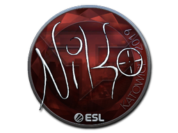 NiKo (Foil) | Katowice 2019