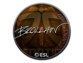 Sticker | Brollan (Foil) | Katowice 2019