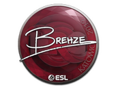 Sticker | Brehze | Katowice 2019