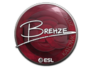 Sticker | Brehze | Katowice 2019