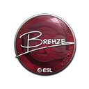 Sticker | Brehze | Katowice 2019