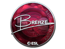 Sticker | Brehze | Katowice 2019