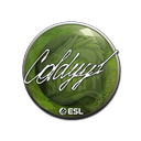 Sticker | COLDYY1 | Katowice 2019