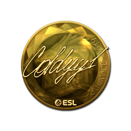 COLDYY1 (Gold) | Katowice 2019