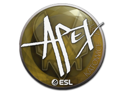 Aufkleber | apEX | Kattowitz 2019