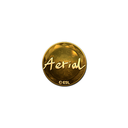 Sticker | Aerial (Gold) | Katowice 2019