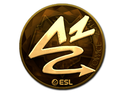 ANGE1 (Gold) | Katowice 2019