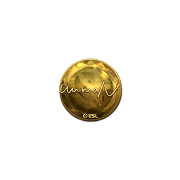 free cs2 skins Sticker | aumaN (Gold) | Katowice 2019