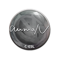 Sticker | aumaN | Katowice 2019