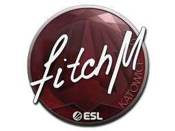 Sticker | fitch | Katowice 2019