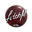 Sticker | fitch | Katowice 2019