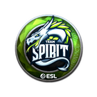 Sticker | Team Spirit (Foil) | Katowice 2019