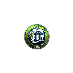 Sticker | Team Spirit (Foil) | Katowice 2019