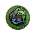 Sticker | Team Spirit (Holo) | Katowice 2019