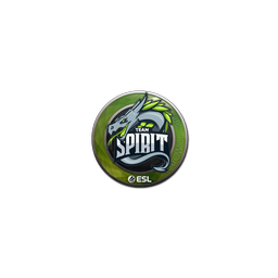 free cs2 skins Sticker | Team Spirit | Katowice 2019