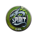 Sticker | Team Spirit | Katowice 2019