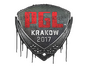 Sealed Graffiti | PGL | Krakow 2017