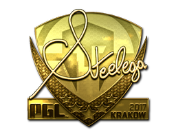 steel (золотая) | Краков 2017
