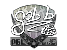 Pegatina | gob b | Cracovia 2017