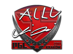 Sticker | allu | Cracovie 2017