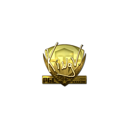 free cs2 skins Sticker | kNgV- (Gold) | Krakow 2017