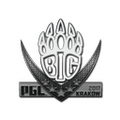 Sticker | BIG | Krakow 2017