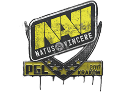 封装的涂鸦 | Natus Vincere | 2017年克拉科夫锦标赛