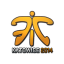 Sticker | Fnatic (Holo) | Katowice 2014