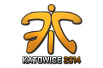 Sticker | Fnatic (Holo) | Katowice 2014