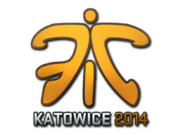 Fnatic (Holo) | Katowice 2014