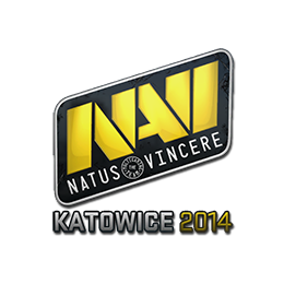 Natus Vincere | Katowice 2014