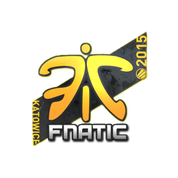 Fnatic | Katowice 2015