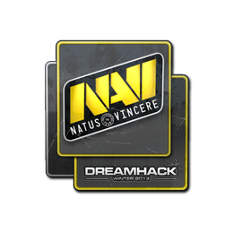 Natus Vincere | DreamHack 2014