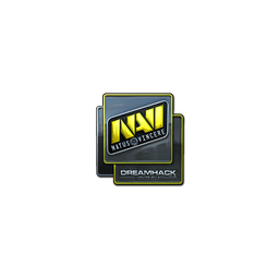 free cs2 skins Sticker | Natus Vincere (Foil) | DreamHack 2014