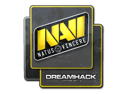 Natus Vincere | DreamHack 2014