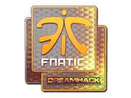 Aufkleber | Fnatic (Holo) | DreamHack 2014