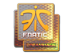 Default of skin Sticker | Fnatic (Holo) | DreamHack 2014