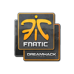 Fnatic | DreamHack 2014
