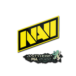 Natus Vincere | Antwerp 2022